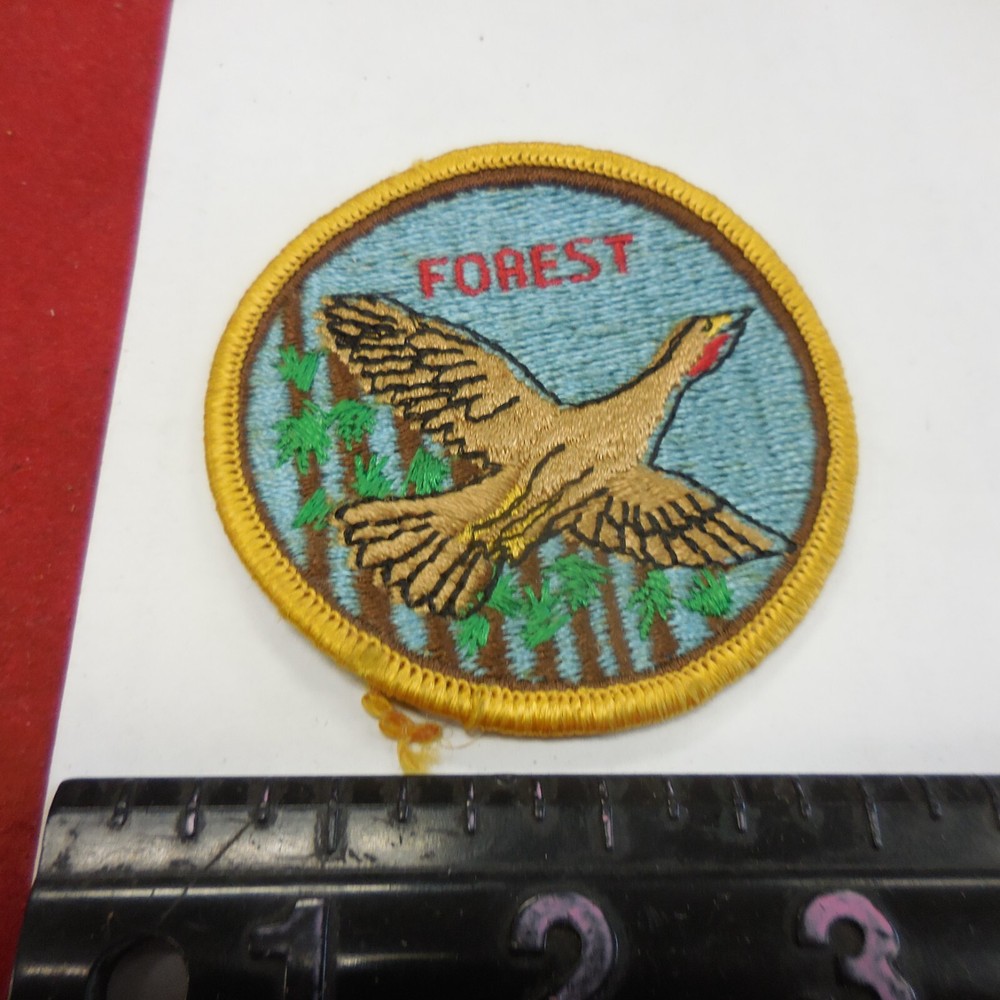 FOREST WILD TURKEY PATCH