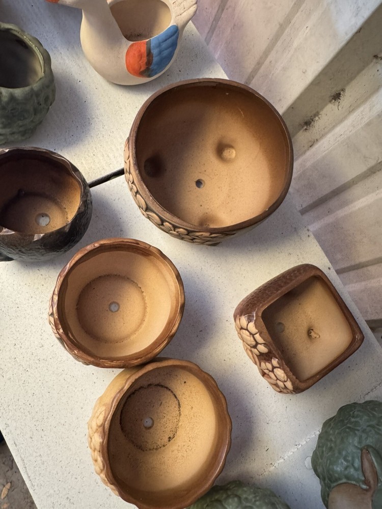 5 Piece Plantars