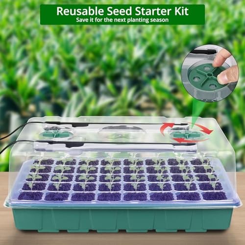 Seed Starter Tray with Grow Light, Intelligent Display Digital Medium Size