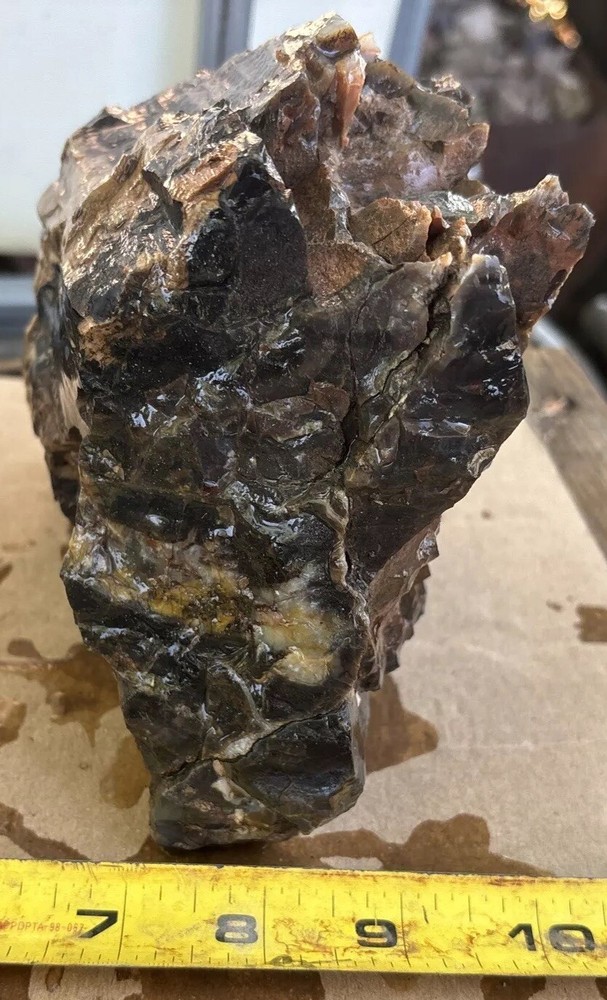 Colorful petrified wood