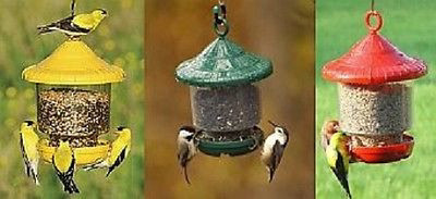 Clingers Only Bird Feeder