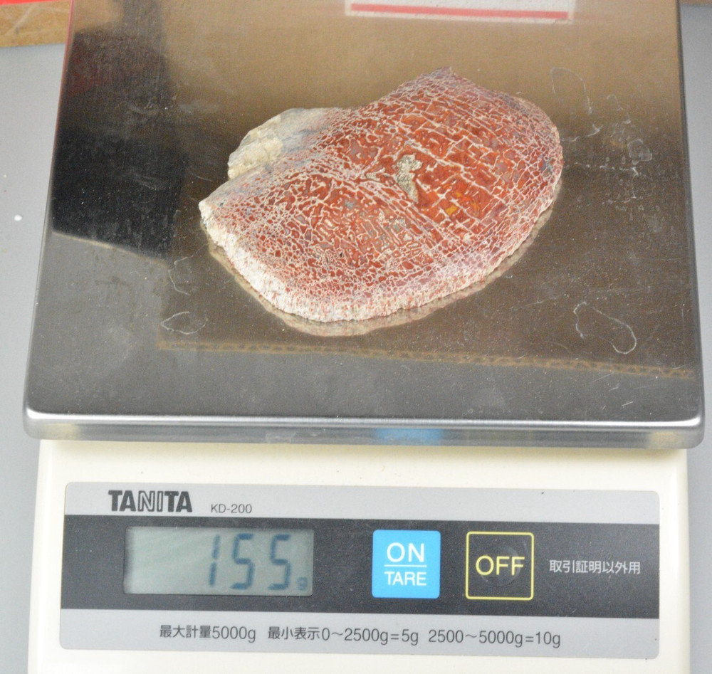 Red Agatized Dinosaur Bone, Utah, Polished, 4.1x2.9"