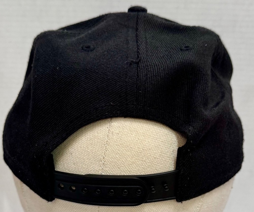 Panthers Movie Snapack Cap