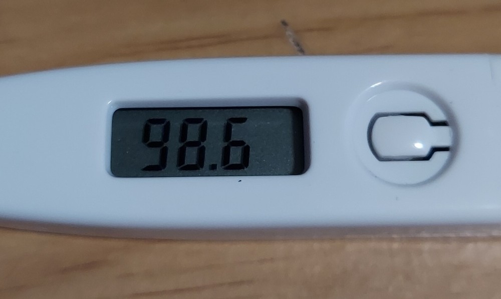 GIINII Digital Stick Thermometer