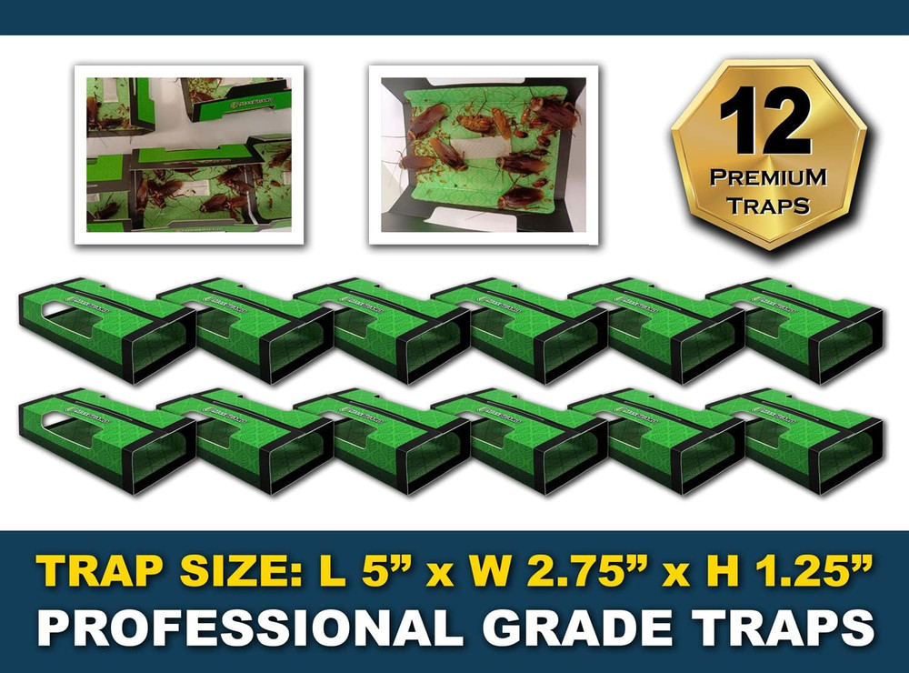 Roach + Spider Traps (12 per Box) Non-Toxic Extra Sticky Box Traps | Kill German