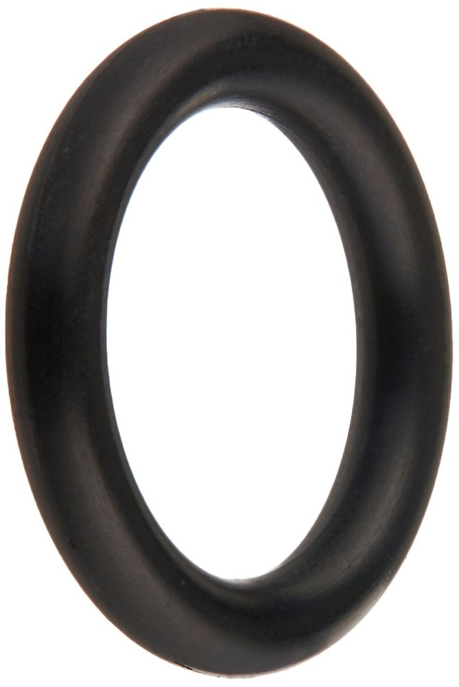 Zodiac P40 Shaft O-Ring Replacement