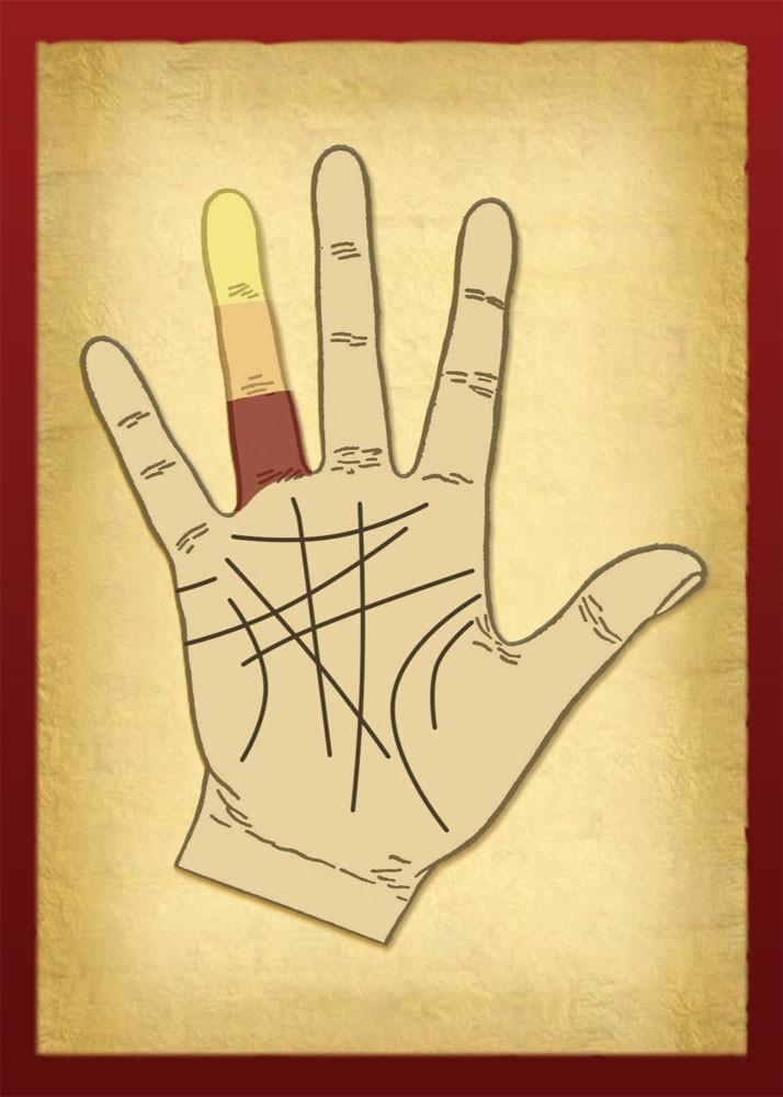Palmistry Learning Cards - Living Magick Learning Cards - Self Study Flash Cards