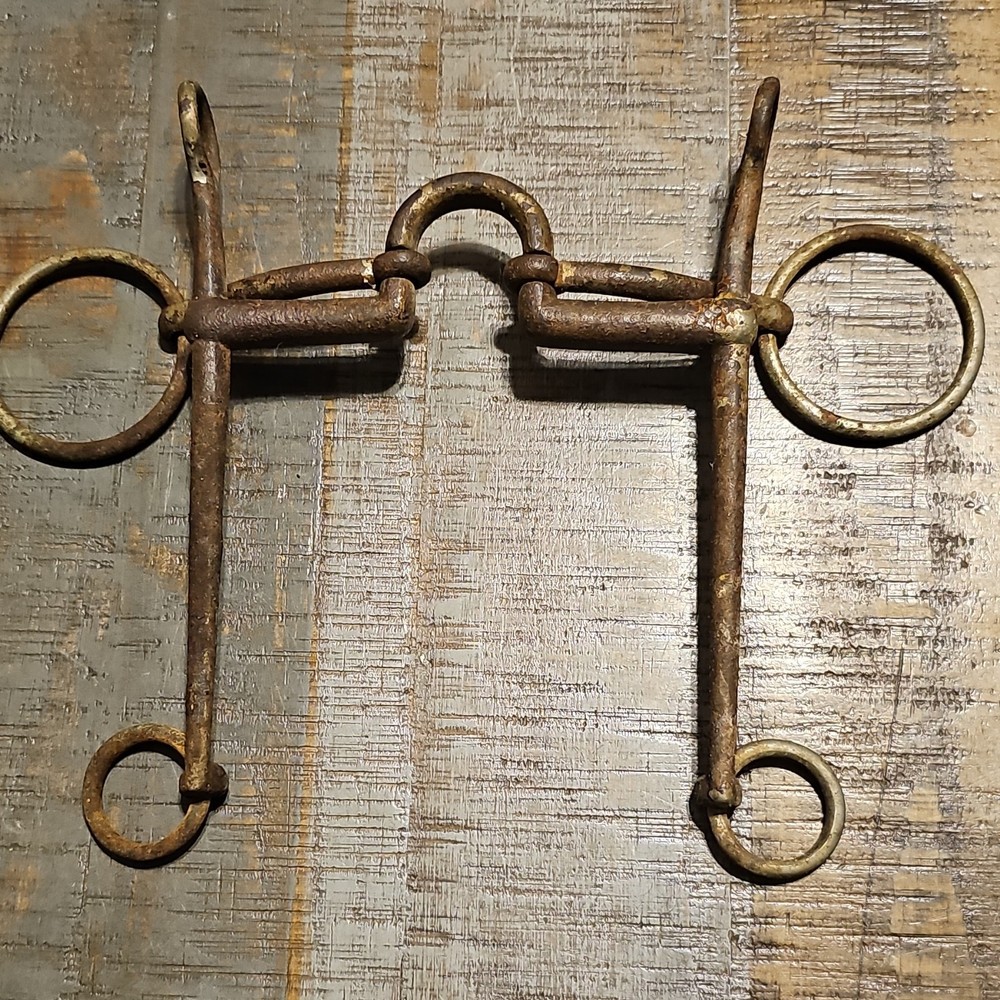 Horse Driving Bit with Check Rings