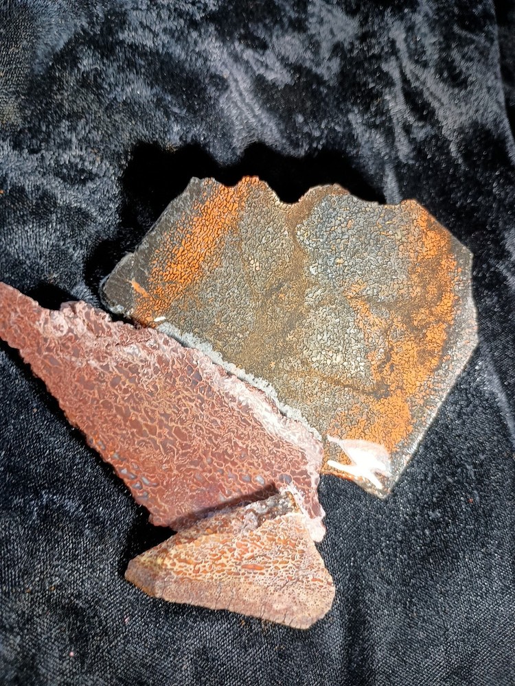 Dinosaur Bone Slabs Utah Rough 125 grams