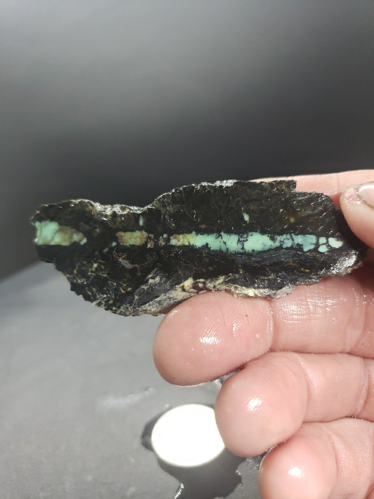 Nevada Saguaro Variscite Slab