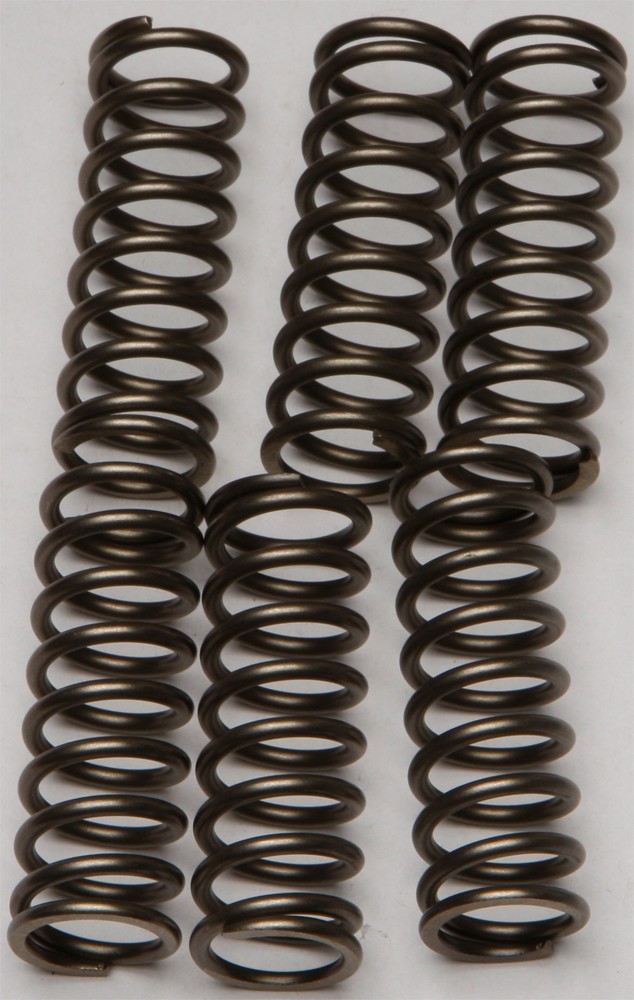 EBC CSK Clutch Spring Kit CSK160