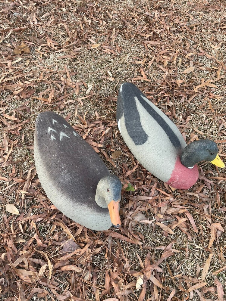 duck decoy