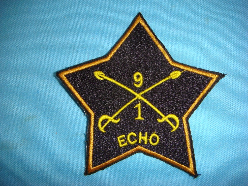 VIETNAM WAR PATCH, US 1st SQUADRON 9th CAVALRY REGIMENT " ECHO " TEAM