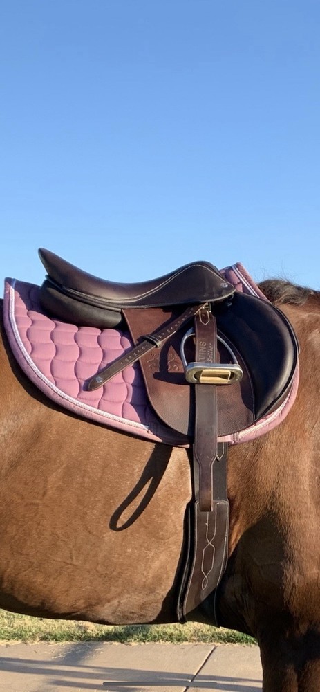 17” Voltaire Stuttgart 2020