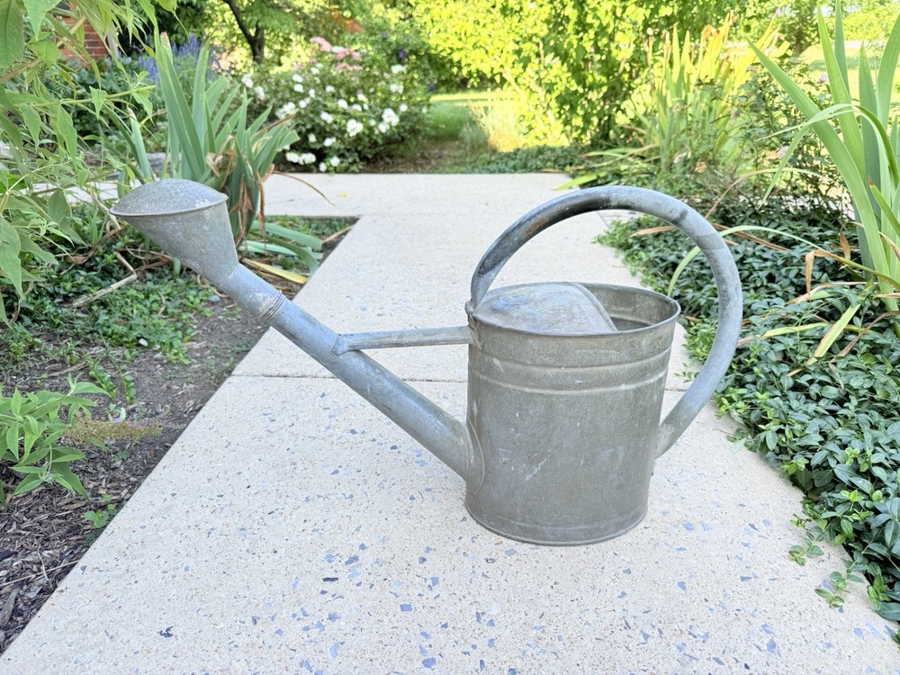 RARE Antique GERMAN BAT GALVANIZED Watering Can