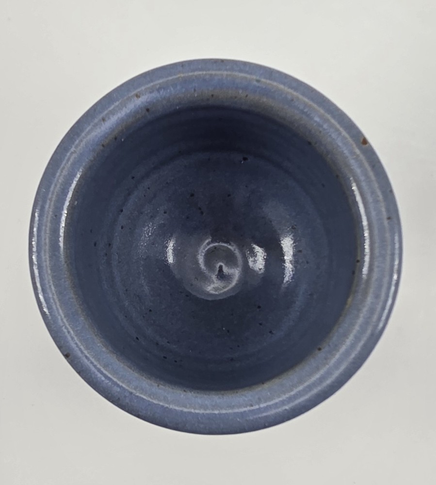 Stoneware Pottery Planter Pot Rustic Glossy Blue Raised Leaf Reddish Matte Small
