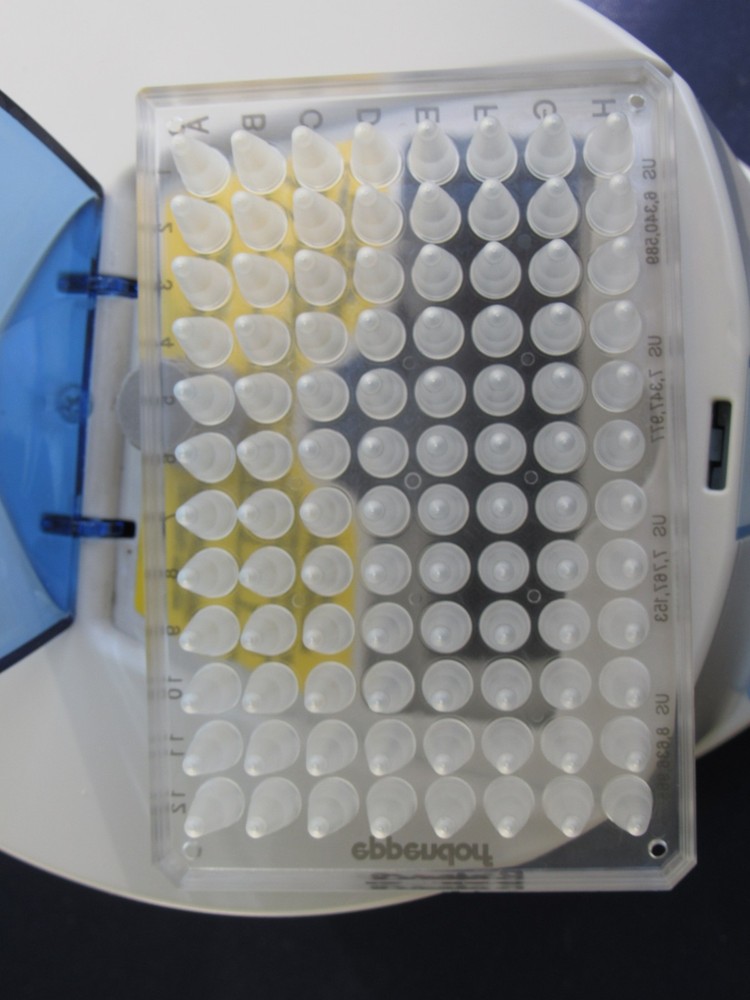 Labnet Model MPS1000, C1000 Mini Plate Spinner GUARANTEED