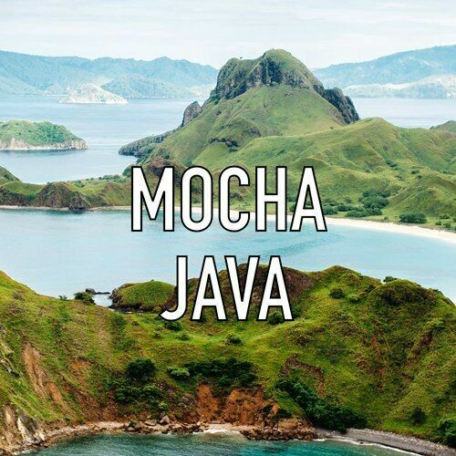 Mocha Java Coffee Beans Medium & Dark Roasted Daily 1 Pound Bags 5 Pounds