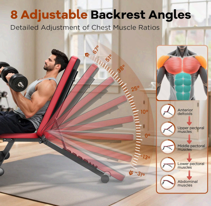 Adjustable Weight Bench, 660LBS, Foldable, 8 Backrests, Compact Home Gym