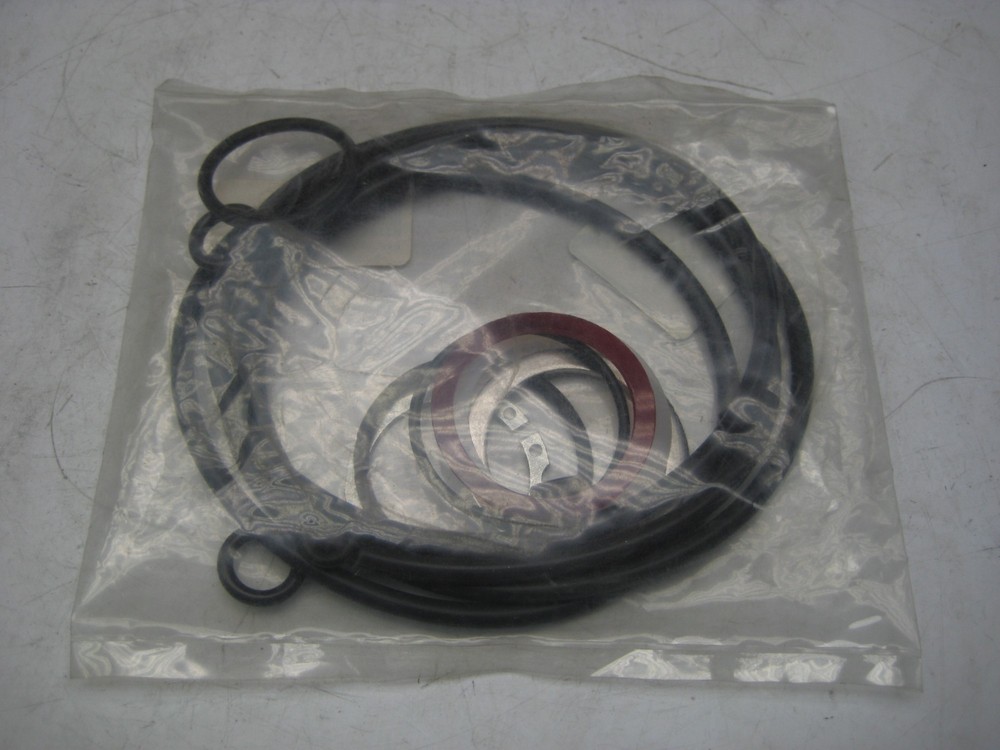 FLOWSERVE 125SKV KIT NSFS