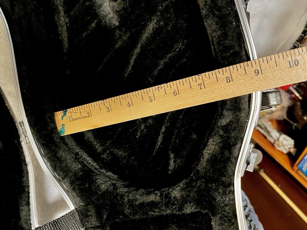 BIG Viola Thermoplastic Hard case