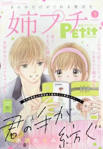 Comic magazine Anekei Petit Comic May 2021 issue