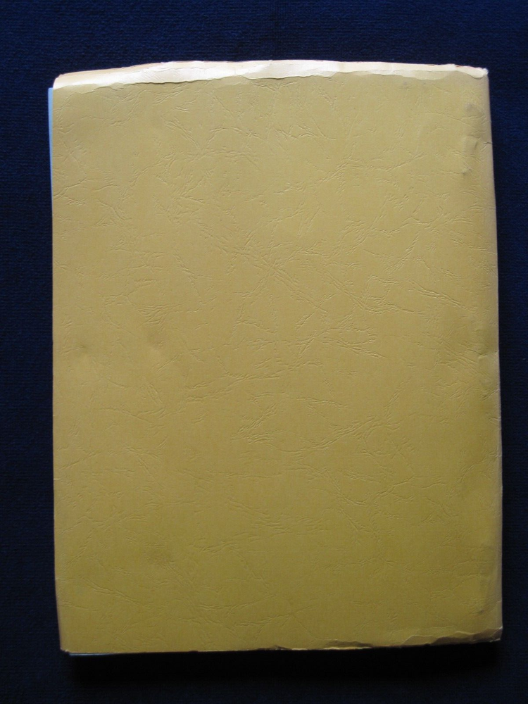 ORIGINAL SCRIPT A STAR IS BORN by JOAN DIDION, JOHN GREGORY DUNNE, FRANK PIERSON
