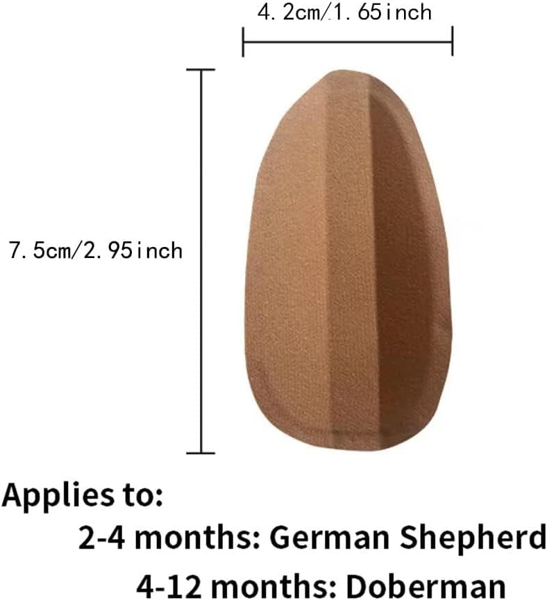 Dog Ear Stand Sticker Up Support Tool Dog Ear Fixed Correction Vertical Holder