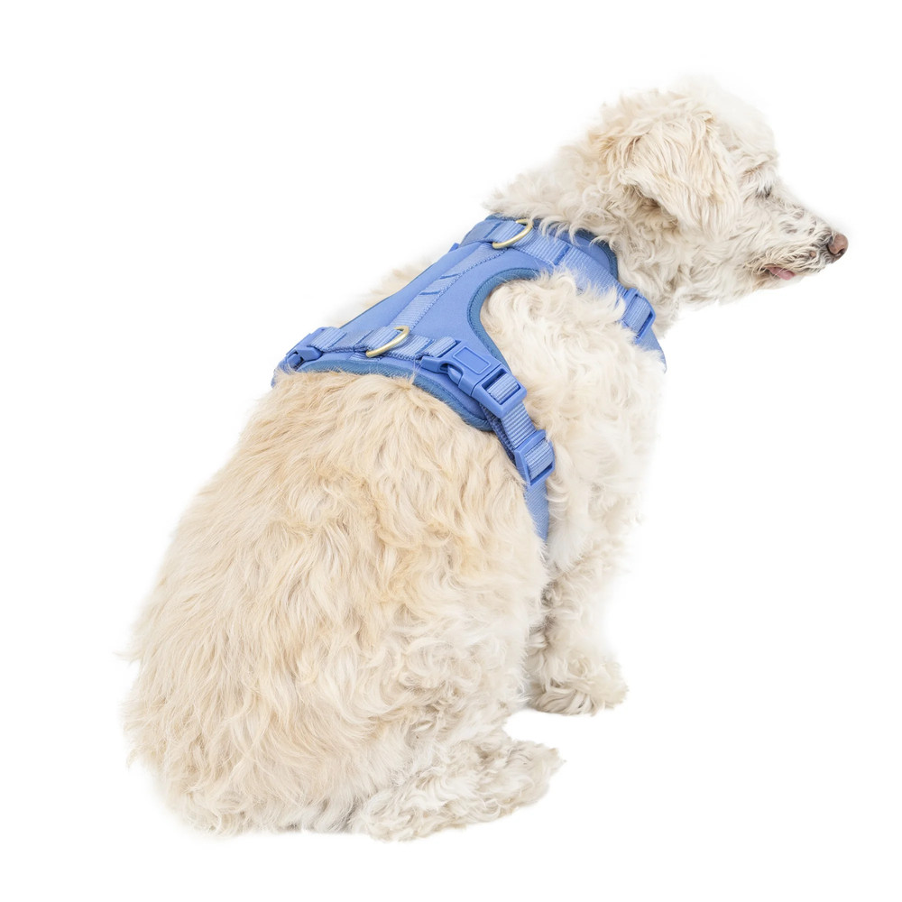 Vibrant Life Polyester Plain Walking Dog Harness Blue Size Small