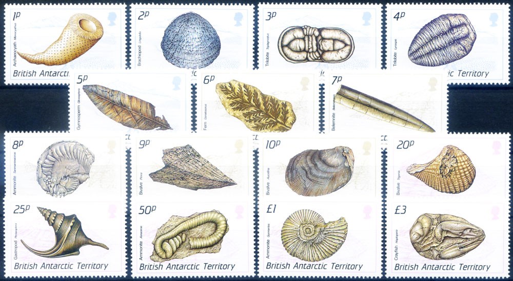 British Antarctic Territory. Definitive. Shells 1990.