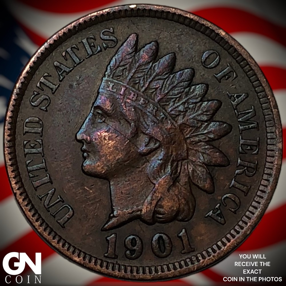 1901 Indian Head Cent Penny  M6171