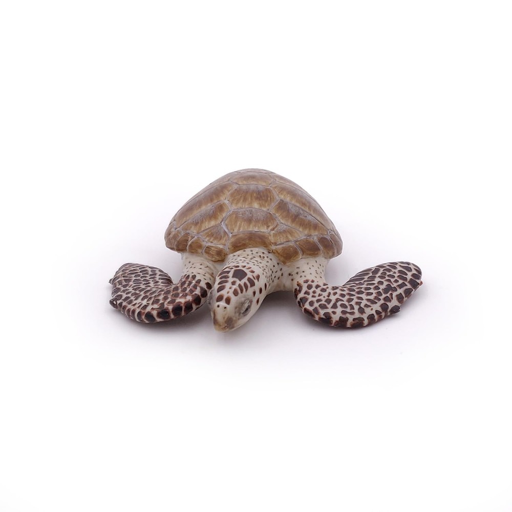 Papo - Loggerhead Turtle - from 3 Years Old - Marine Life Small, Multicolor