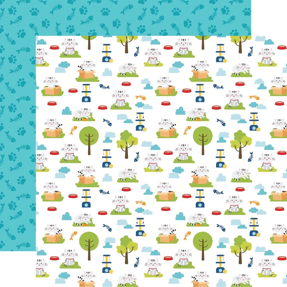 Pets Echo Park Collection Kit
