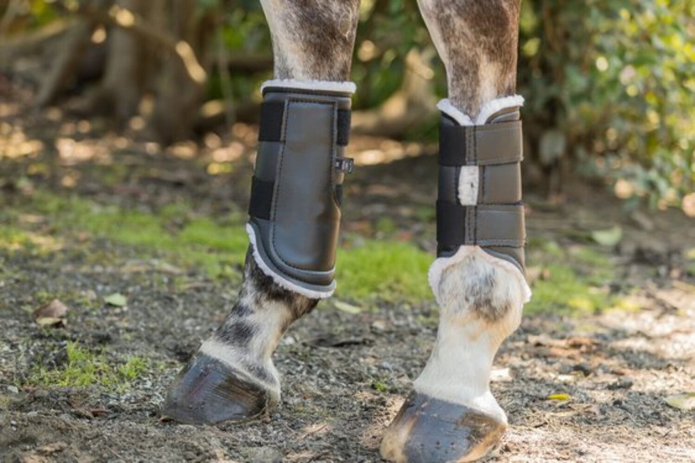 Euro Pro Askan Hind Boots