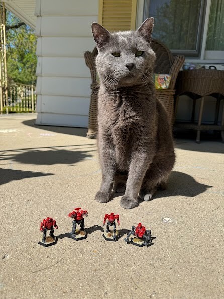 Catalyst Games Inner Sphere Security Lance painted Red Hunter Special Operations