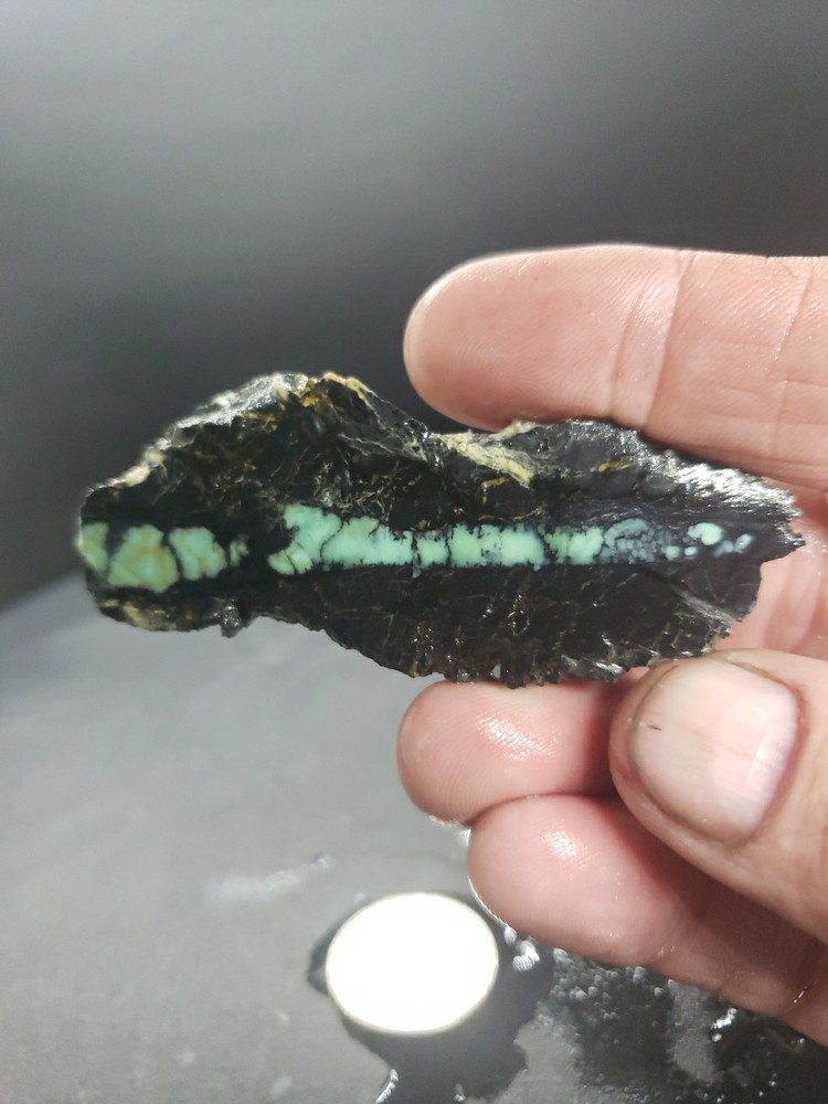 Nevada Saguaro Variscite Slab