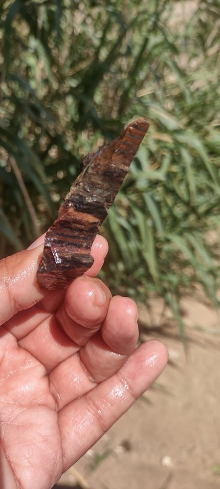 Lapidary Speckled Jasper Slab Agate Unknown Species Specimen