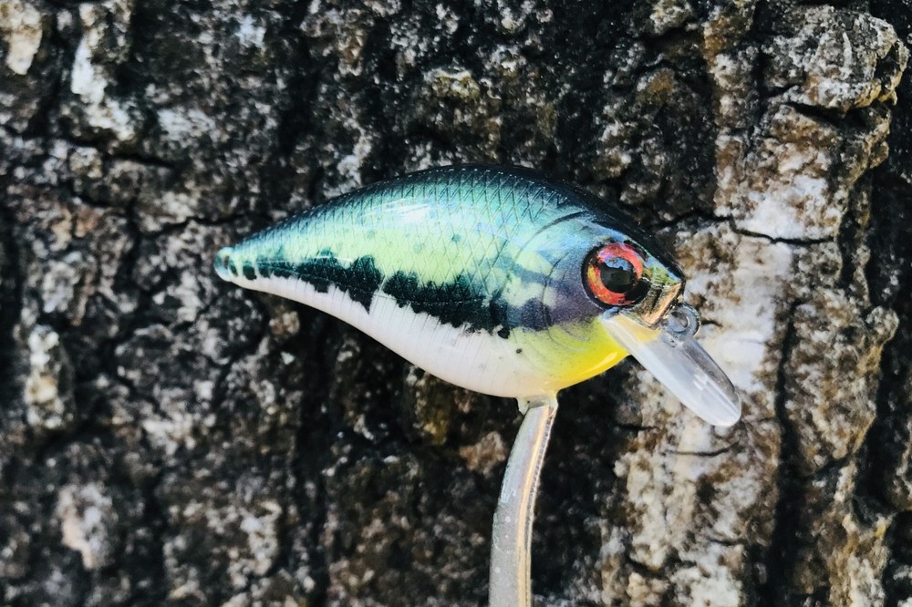 SPEEDBAITS Custom Airbrushed Crankbait