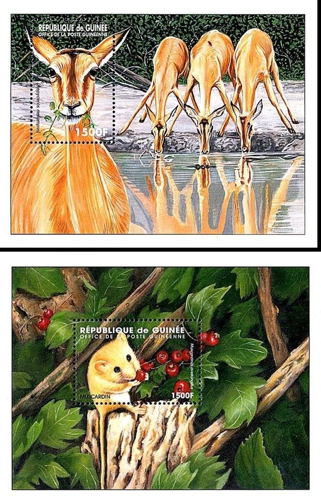 👉 GUINEA = protected ANIMALS x2 s/s mnh