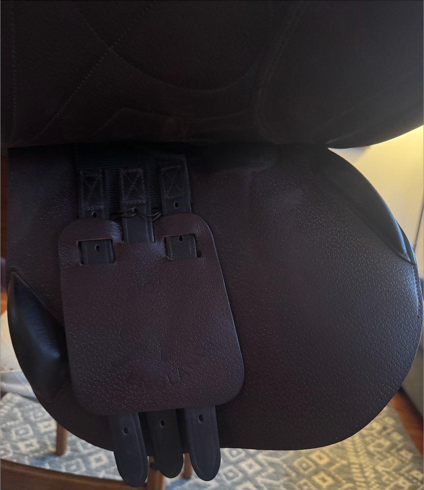 17.5" Albion Evolve Elite Lux *Wool Flocked*