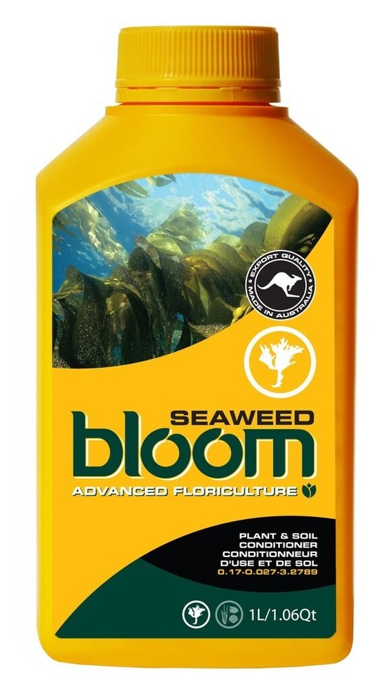 Bloom Yellow Bottle - Seaweed / 1 Liter