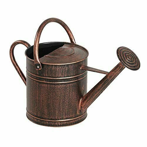 Panacea 2G Bronze Watering Can