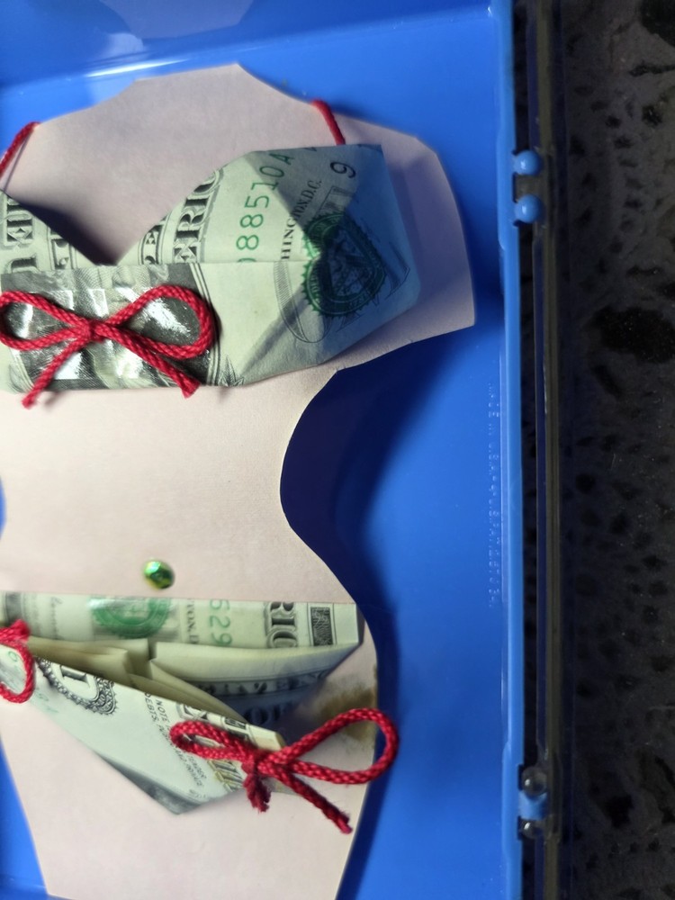 Oragami Bikini Made With Dollar Bills