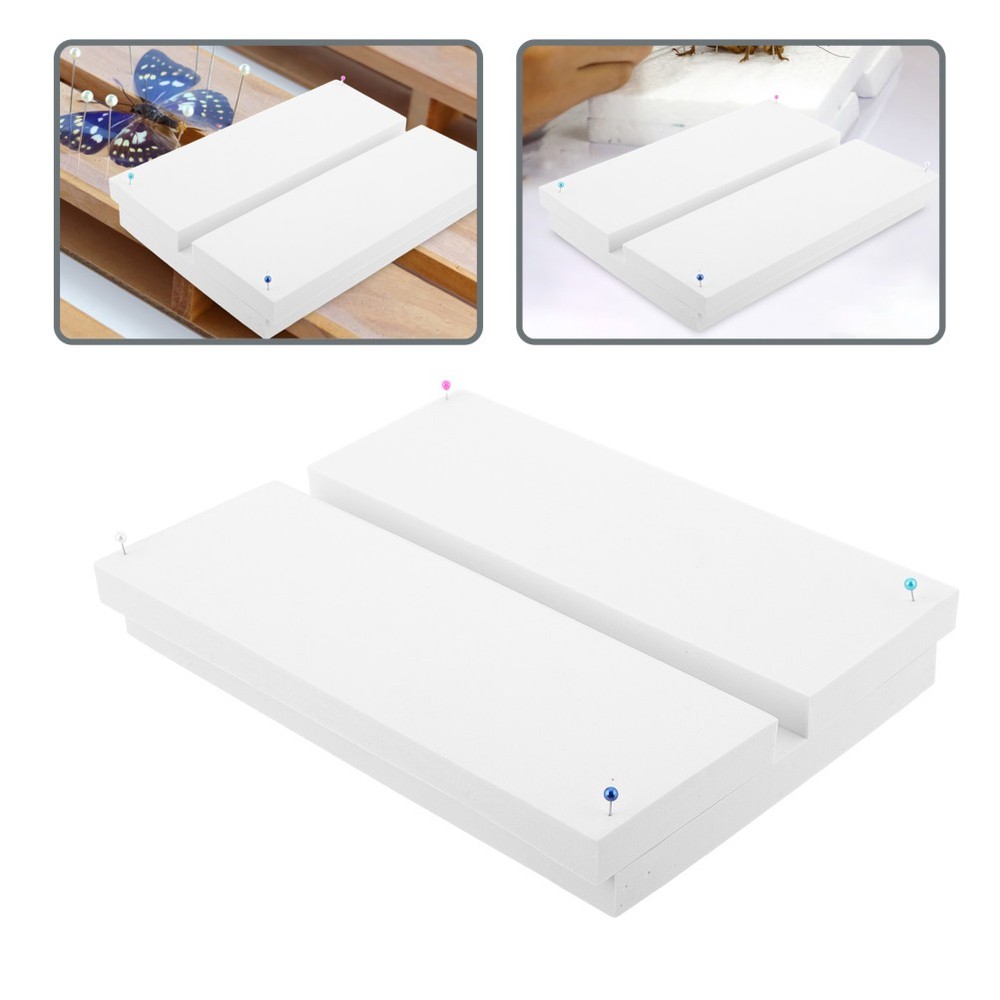 Specimen Display Board Insect Mounting Plate Butterfly Preservation