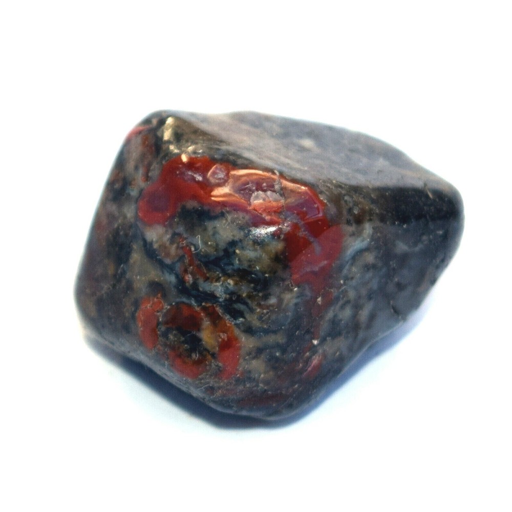 Fossilized Tumbled Dinosaur Coprolite - Dinosaur Poo