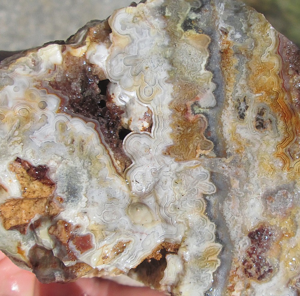 CRAZY LACE AGATE ROUGH ~ 3 lbs 6 ozs