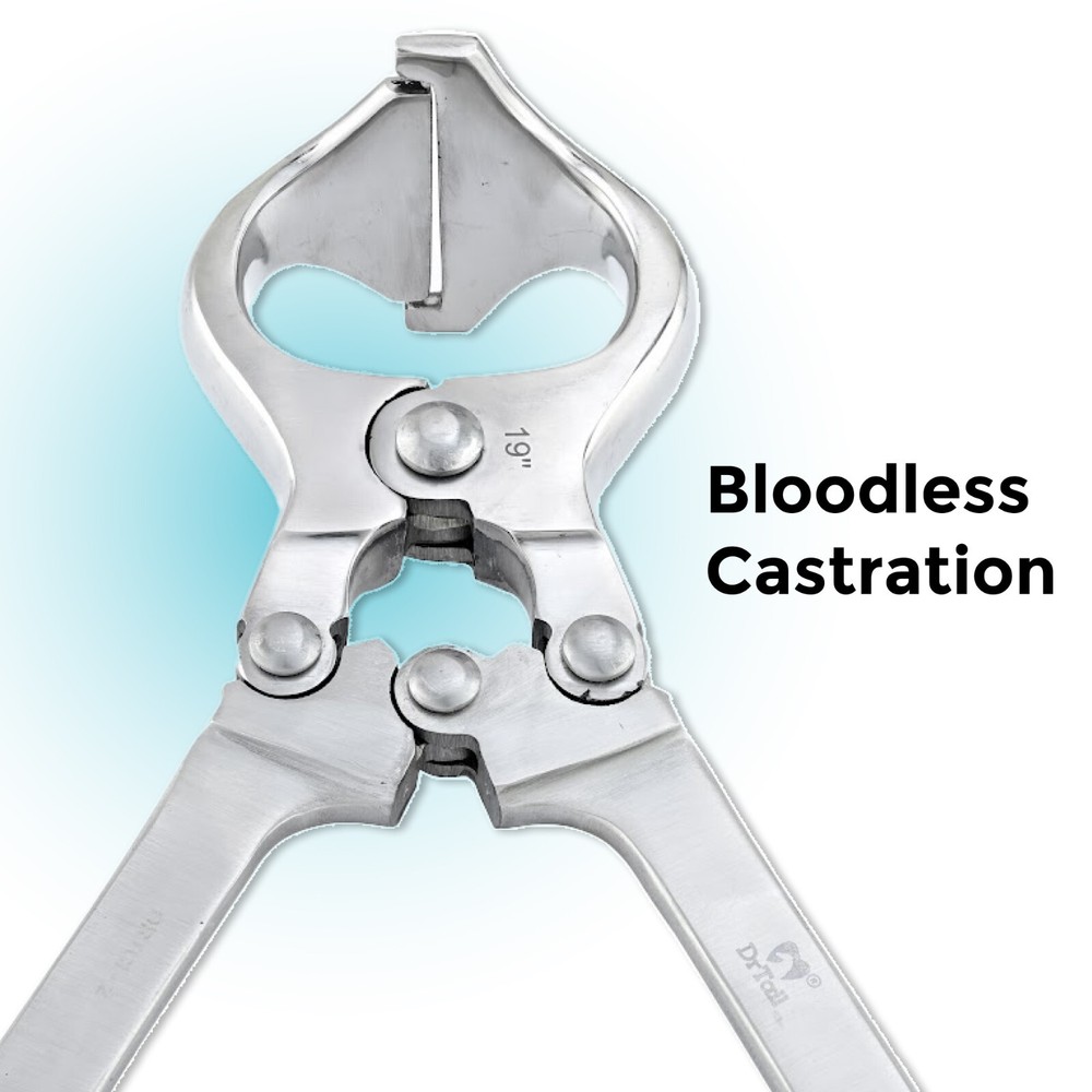 Castrator Burdizzo Castration Veterinary Instruments Large Size 19"