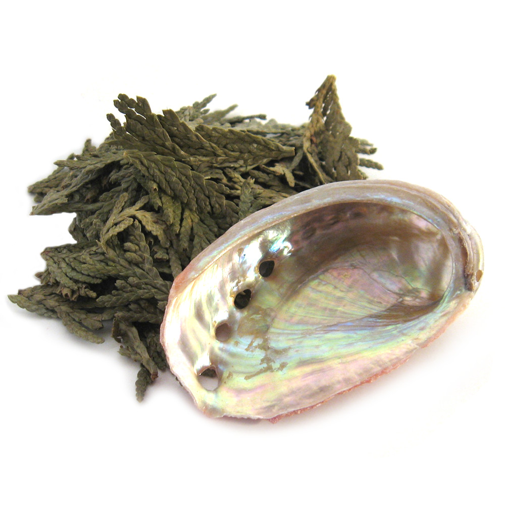 Loose Cedar with Mini Abalone Shell - Mini Herb Kit for Smoke Cleansing