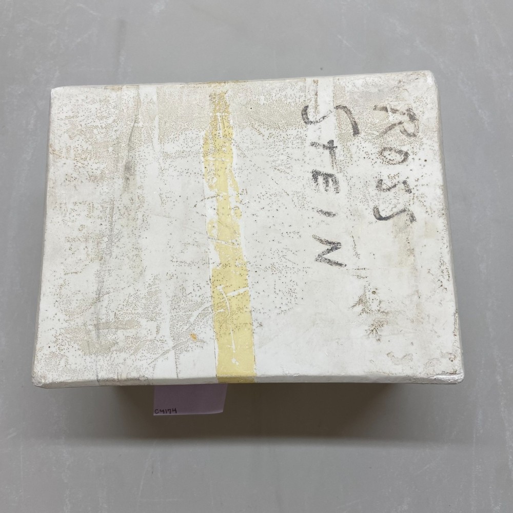 Ceramic Slip Casting Mold Ross Stein Beer Mug