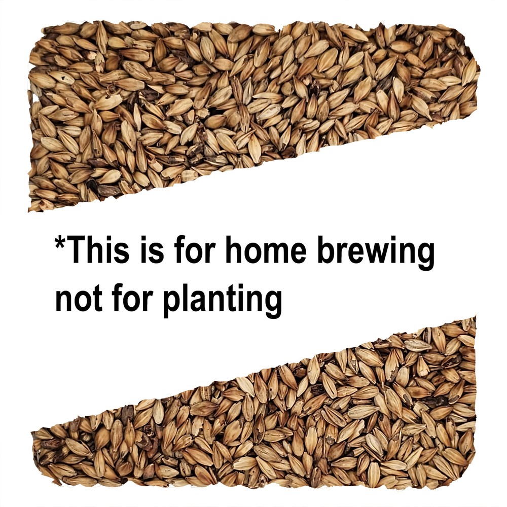 Home Brew Ohio Caramel 30L Grain 1lb